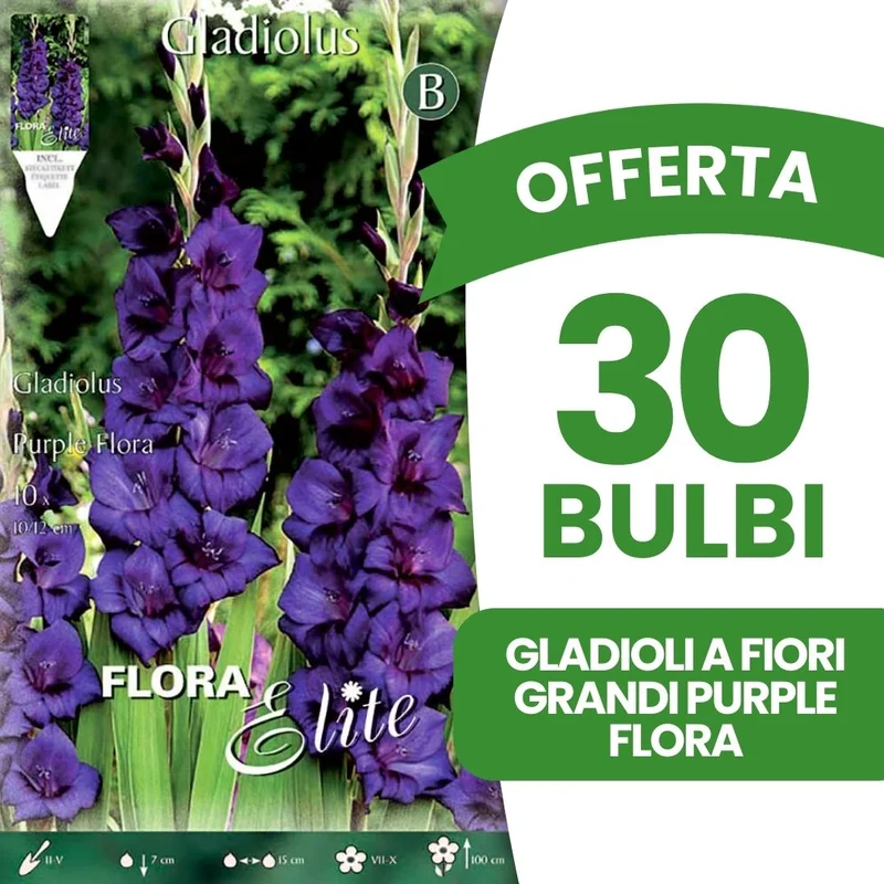 peragashop43480191