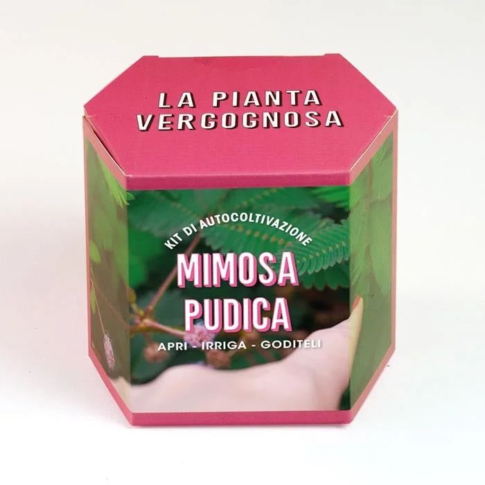 peragashop43543257