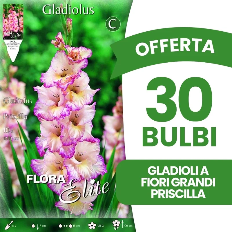 peragashop43545475