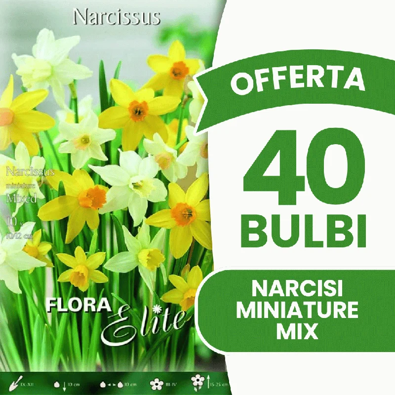 peragashop43570647