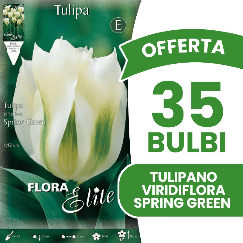 peragashop43571104