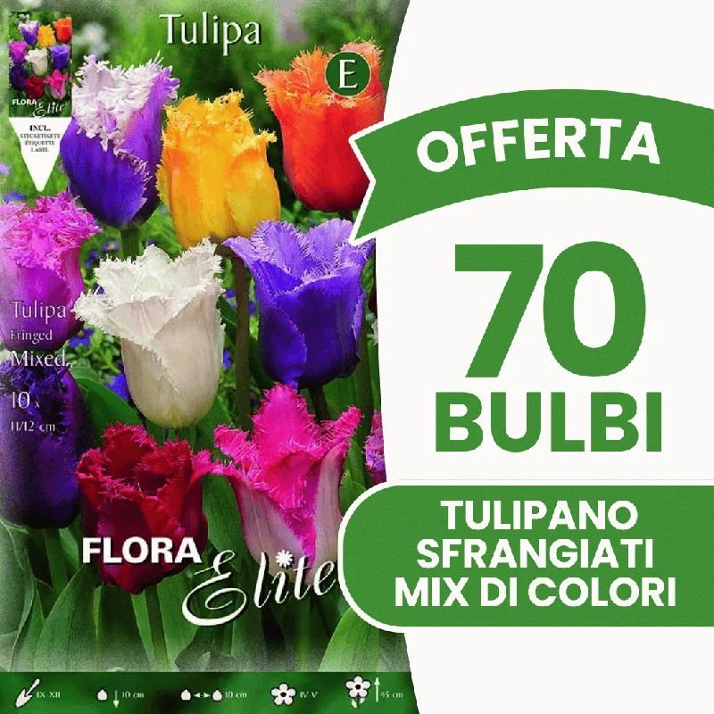 peragashop43571196