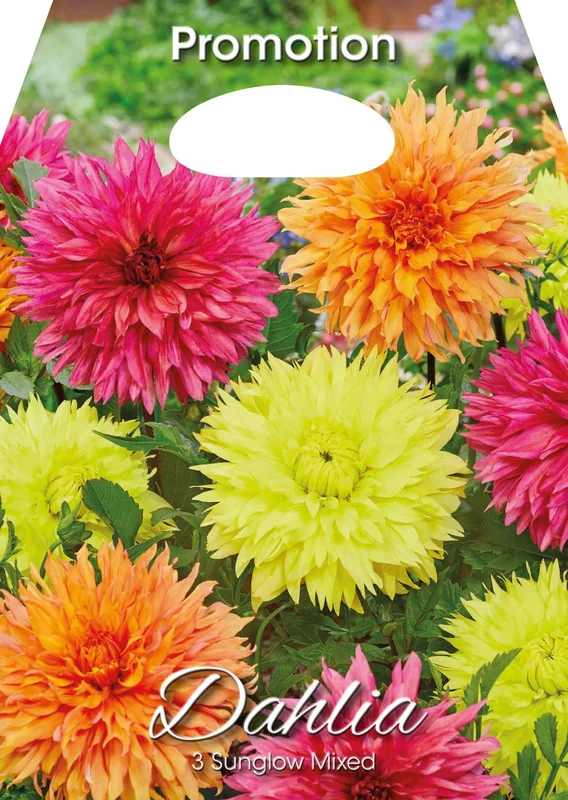 peragashop43576151