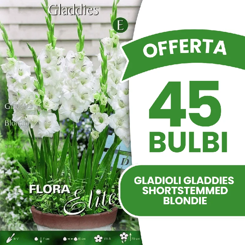peragashop43576224