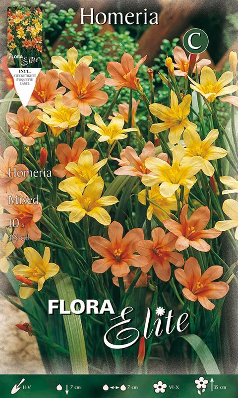 peragashop43841089