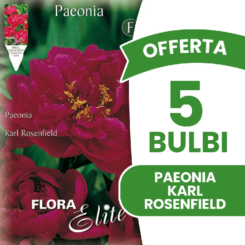 peragashop43841291
