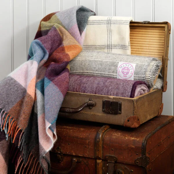 scantex-shop-3497343