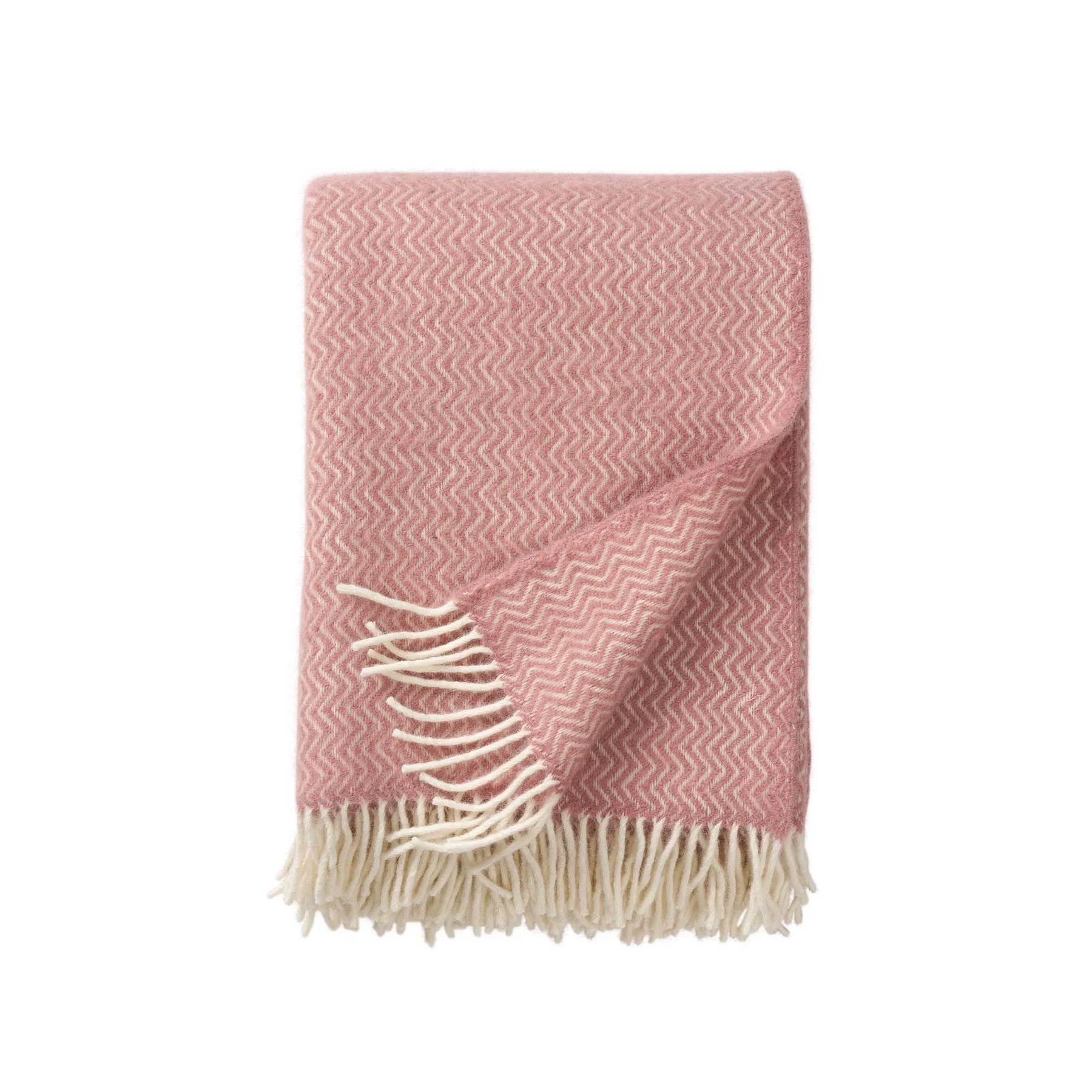 scantex-shop-3499332