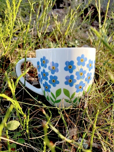 scantex-shop-3500061
