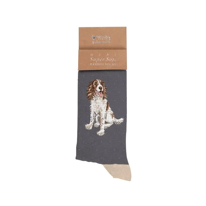 scantex-shop-3503297
