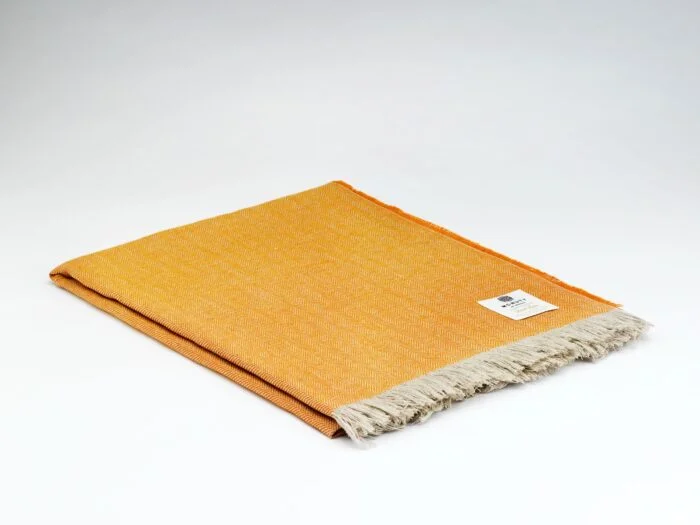 scantex-shop-3503392