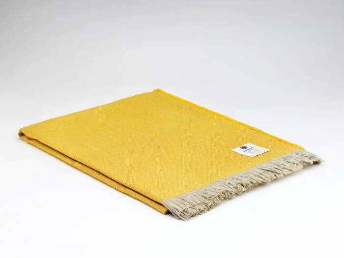 scantex-shop-3503409