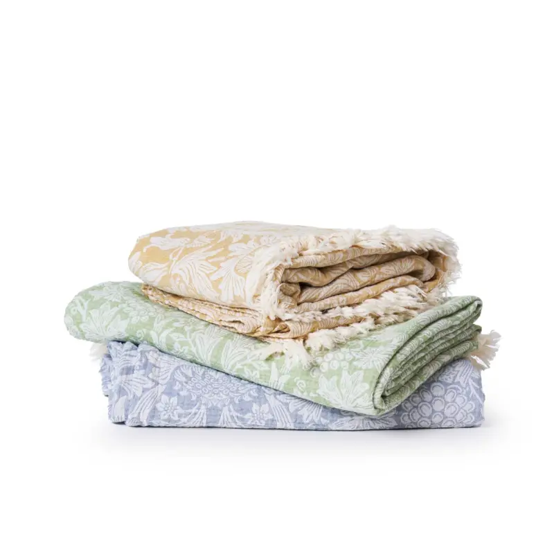 scantex-shop-3505111
