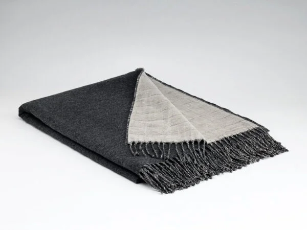 scantex-shop-3506524